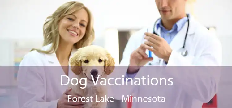 Dog Vaccinations Forest Lake - Minnesota