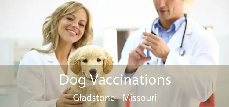 Dog Vaccinations Gladstone - Missouri