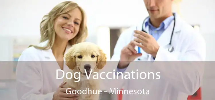 Dog Vaccinations Goodhue - Minnesota