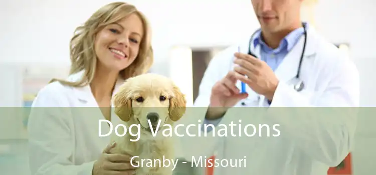 Dog Vaccinations Granby - Missouri