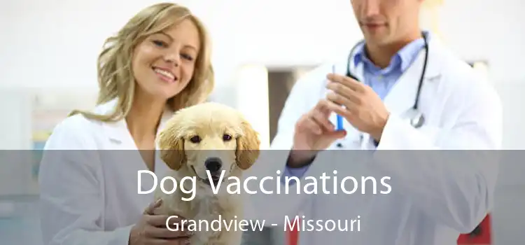 Dog Vaccinations Grandview - Missouri