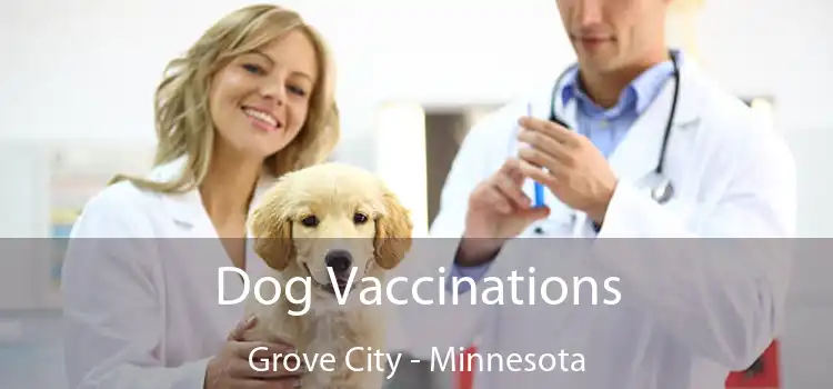 Dog Vaccinations Grove City - Minnesota