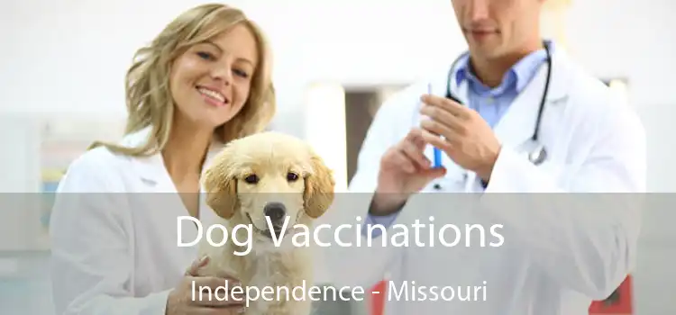 Dog Vaccinations Independence - Missouri