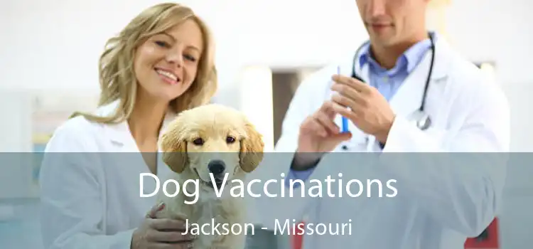 Dog Vaccinations Jackson - Missouri