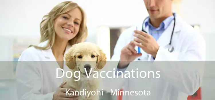 Dog Vaccinations Kandiyohi - Minnesota