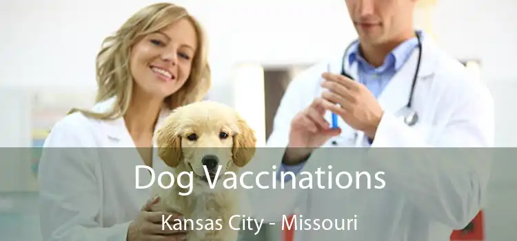 Dog Vaccinations Kansas City - Missouri