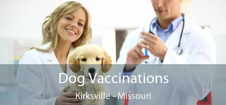 Dog Vaccinations Kirksville - Missouri