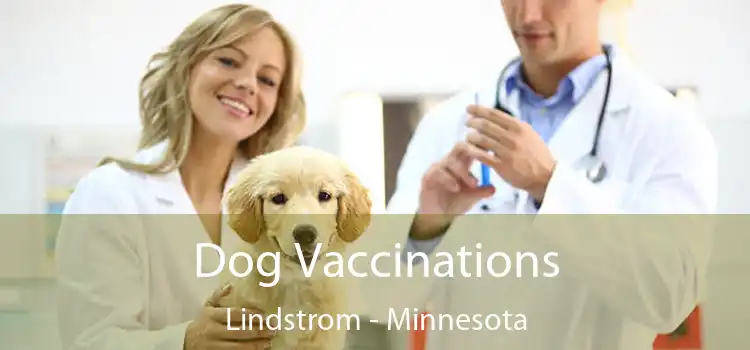 Dog Vaccinations Lindstrom - Minnesota