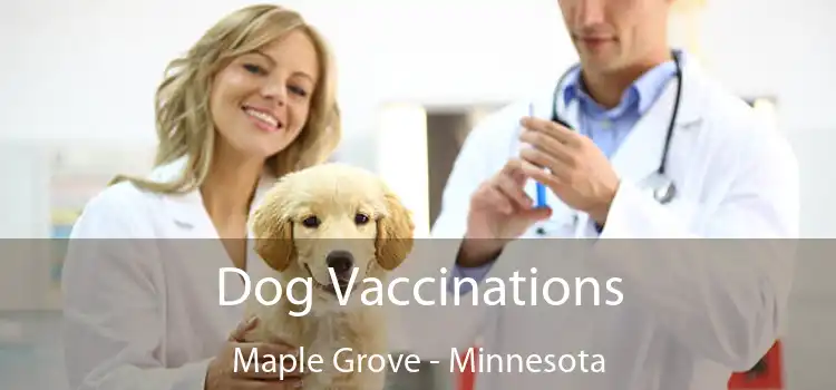 Dog Vaccinations Maple Grove - Minnesota