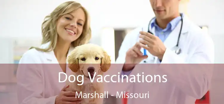 Dog Vaccinations Marshall - Missouri