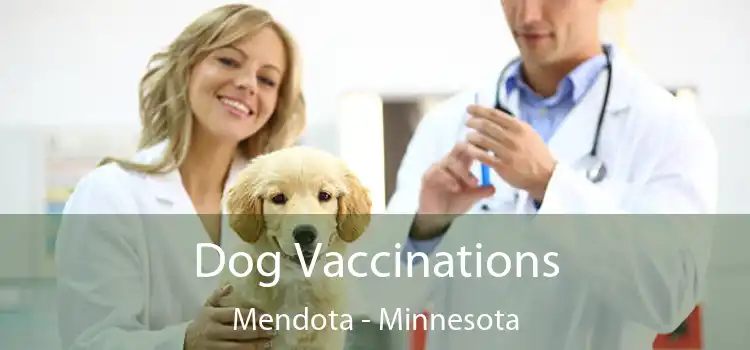 Dog Vaccinations Mendota - Minnesota