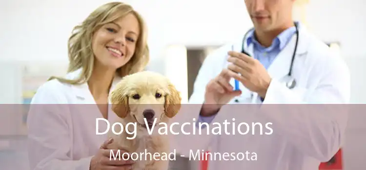 Dog Vaccinations Moorhead - Minnesota