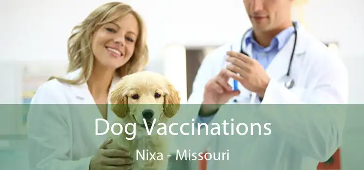 Dog Vaccinations Nixa - Missouri