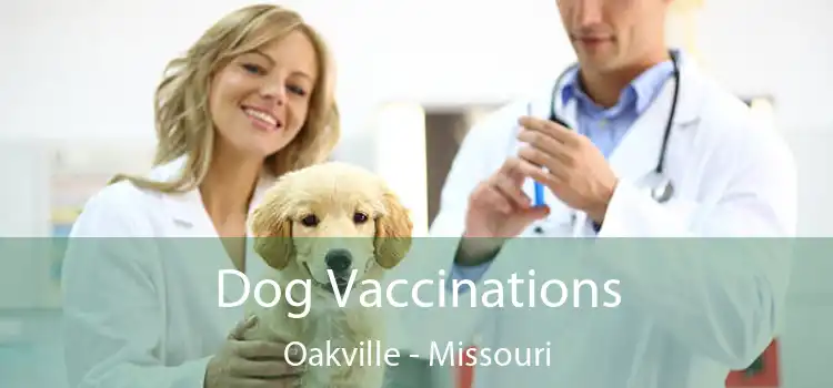 Dog Vaccinations Oakville - Missouri