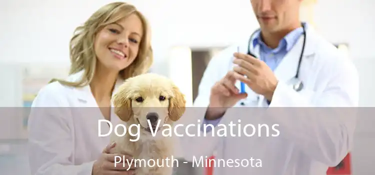 Dog Vaccinations Plymouth - Minnesota