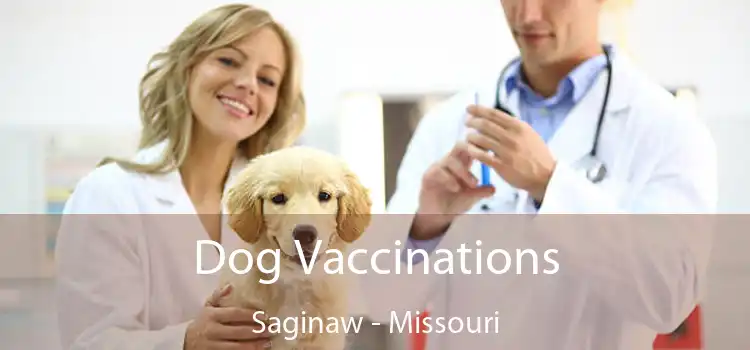 Dog Vaccinations Saginaw - Missouri