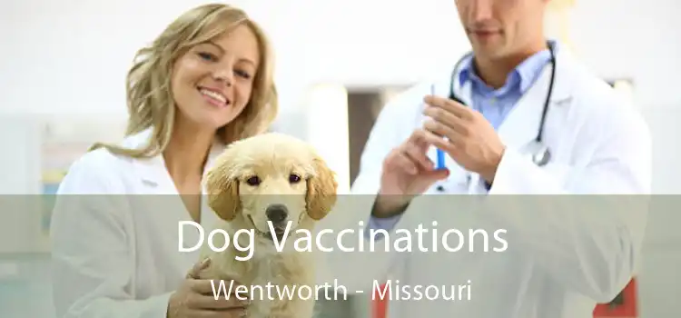 Dog Vaccinations Wentworth - Missouri