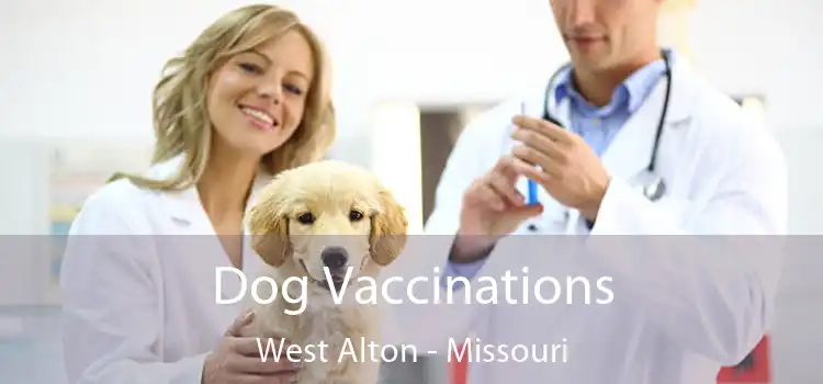 Dog Vaccinations West Alton - Missouri