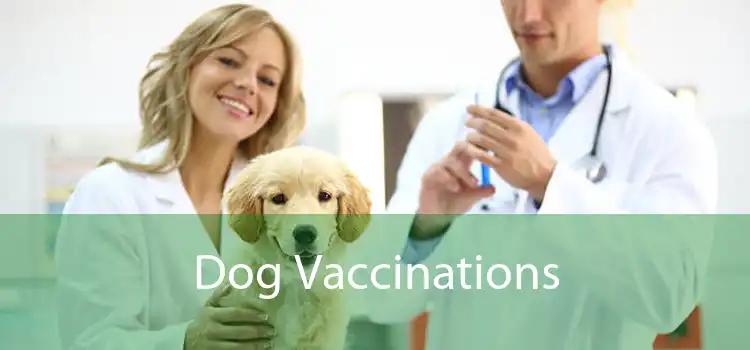 Dog Vaccinations 