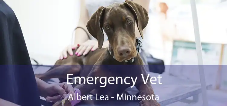 Emergency Vet Albert Lea - Minnesota