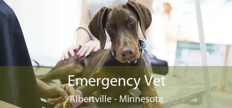 Emergency Vet Albertville - Minnesota