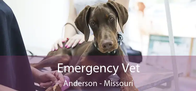 Emergency Vet Anderson - Missouri