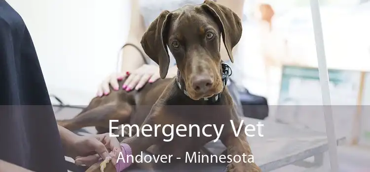 Emergency Vet Andover - Minnesota