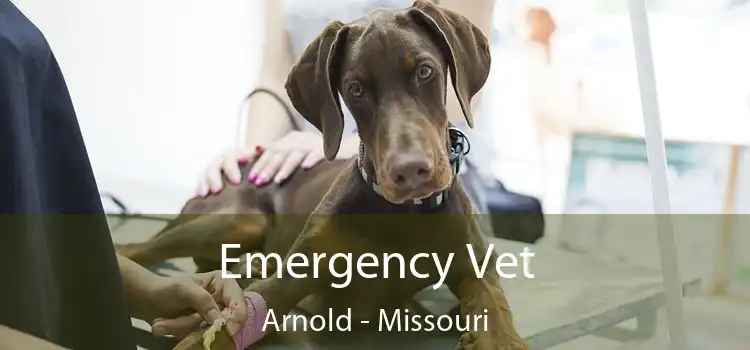 Emergency Vet Arnold - Missouri