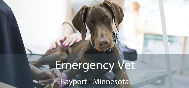 Emergency Vet Bayport - Minnesota