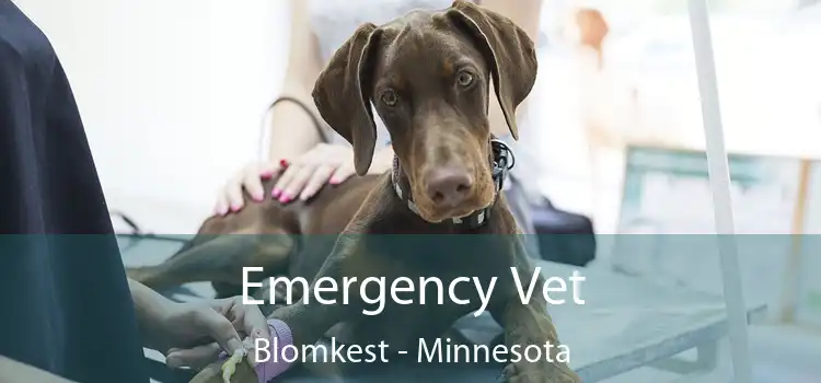 Emergency Vet Blomkest - Minnesota