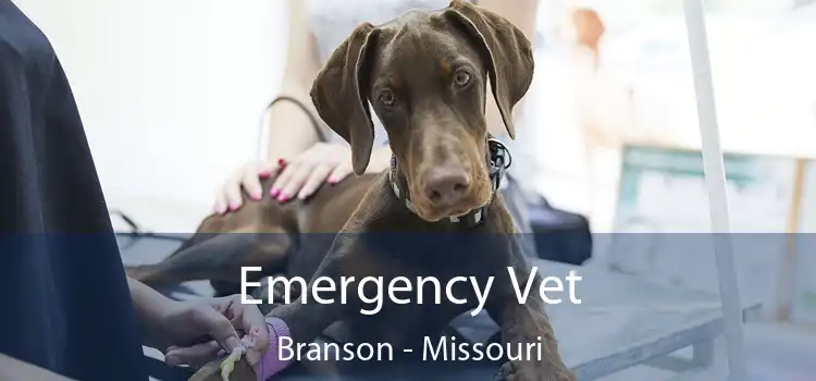 Emergency Vet Branson - Missouri