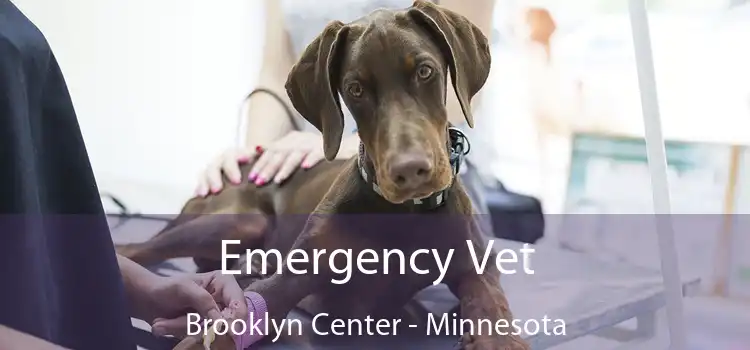 Emergency Vet Brooklyn Center - Minnesota