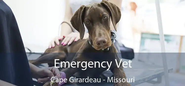 Emergency Vet Cape Girardeau - Missouri