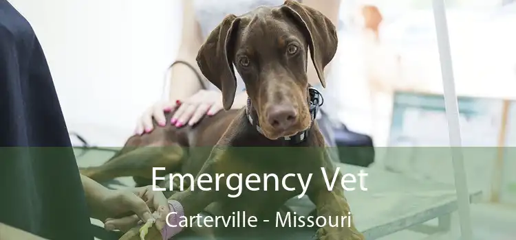 Emergency Vet Carterville - Missouri