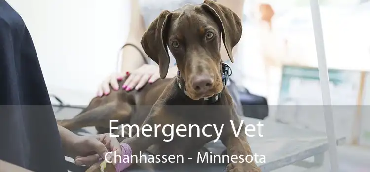 Emergency Vet Chanhassen - Minnesota