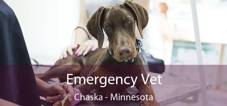 Emergency Vet Chaska - Minnesota