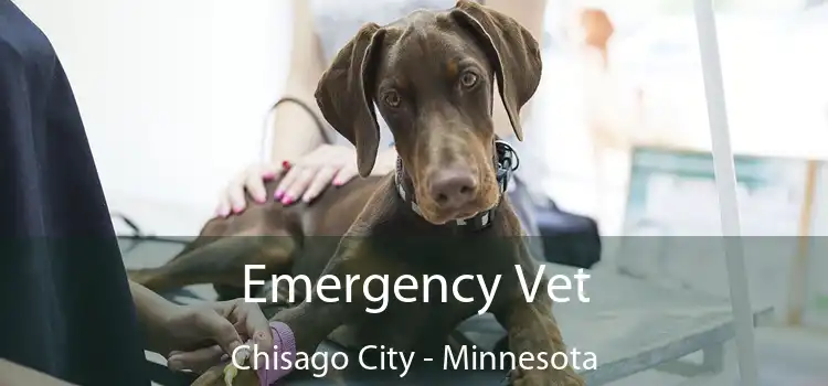 Emergency Vet Chisago City - Minnesota