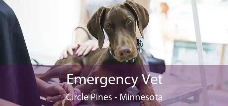 Emergency Vet Circle Pines - Minnesota