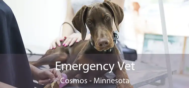 Emergency Vet Cosmos - Minnesota