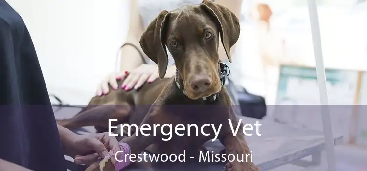 Emergency Vet Crestwood - Missouri