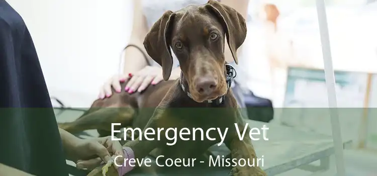 Emergency Vet Creve Coeur - Missouri