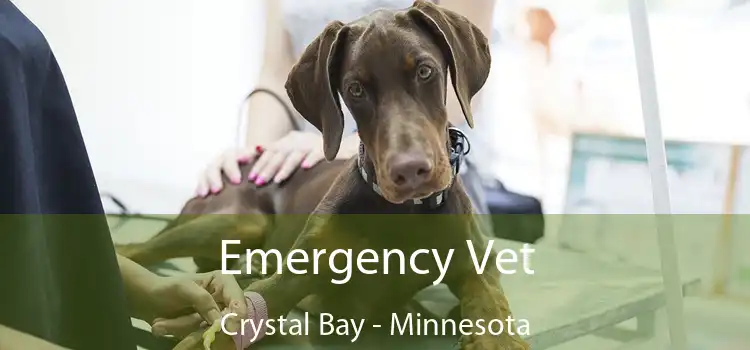 Emergency Vet Crystal Bay - Minnesota