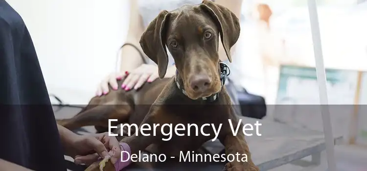 Emergency Vet Delano - Minnesota