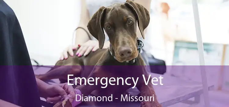 Emergency Vet Diamond - Missouri