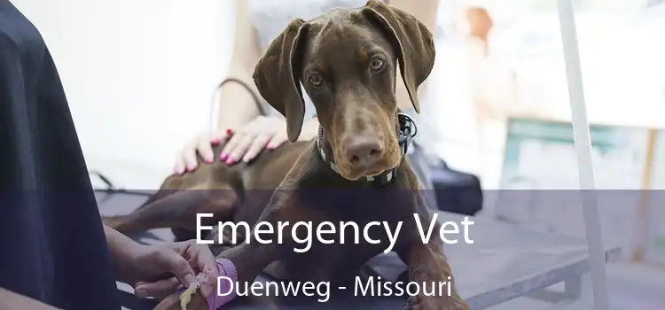 Emergency Vet Duenweg - Missouri