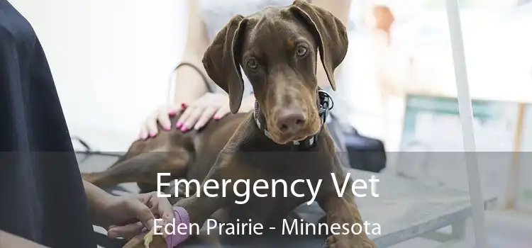 Emergency Vet Eden Prairie - Minnesota