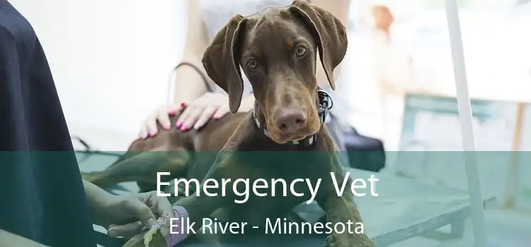 Emergency Vet Elk River - Minnesota