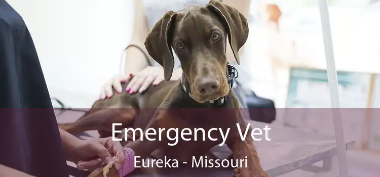 Emergency Vet Eureka - Missouri