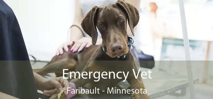 Emergency Vet Faribault - Minnesota