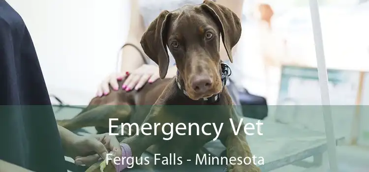 Emergency Vet Fergus Falls - Minnesota